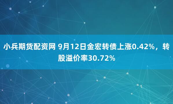 小兵期货配资网 9月12日金宏转债上涨0.42%，转股溢价率30.72%